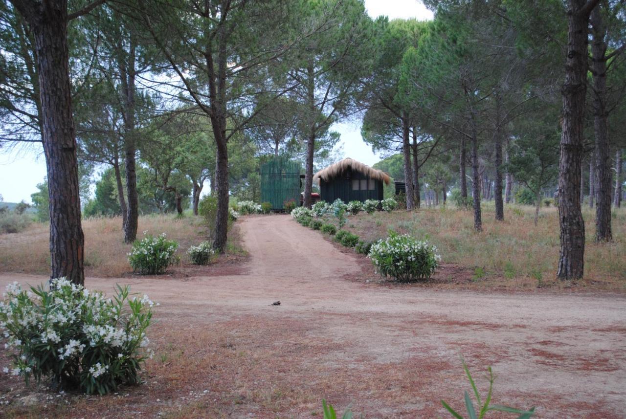 Ying Yang Monte Da Lua Βίλα Comporta Εξωτερικό φωτογραφία