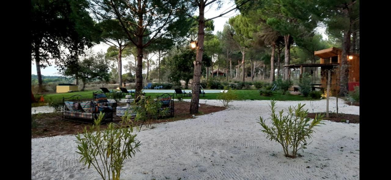 Ying Yang Monte Da Lua Βίλα Comporta Εξωτερικό φωτογραφία