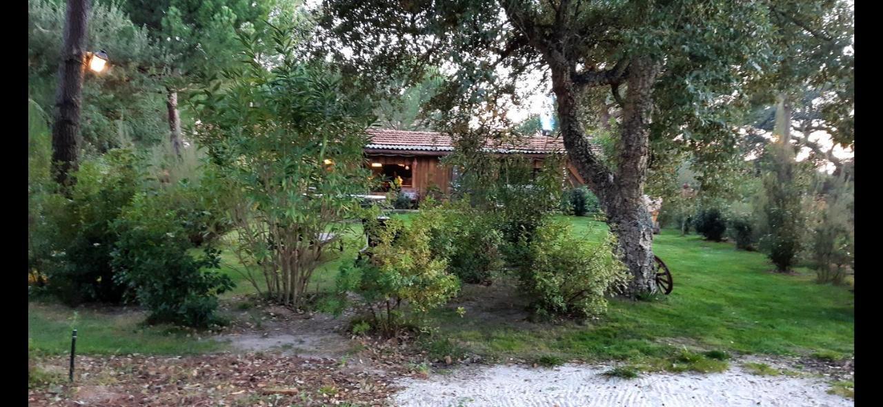 Ying Yang Monte Da Lua Βίλα Comporta Εξωτερικό φωτογραφία