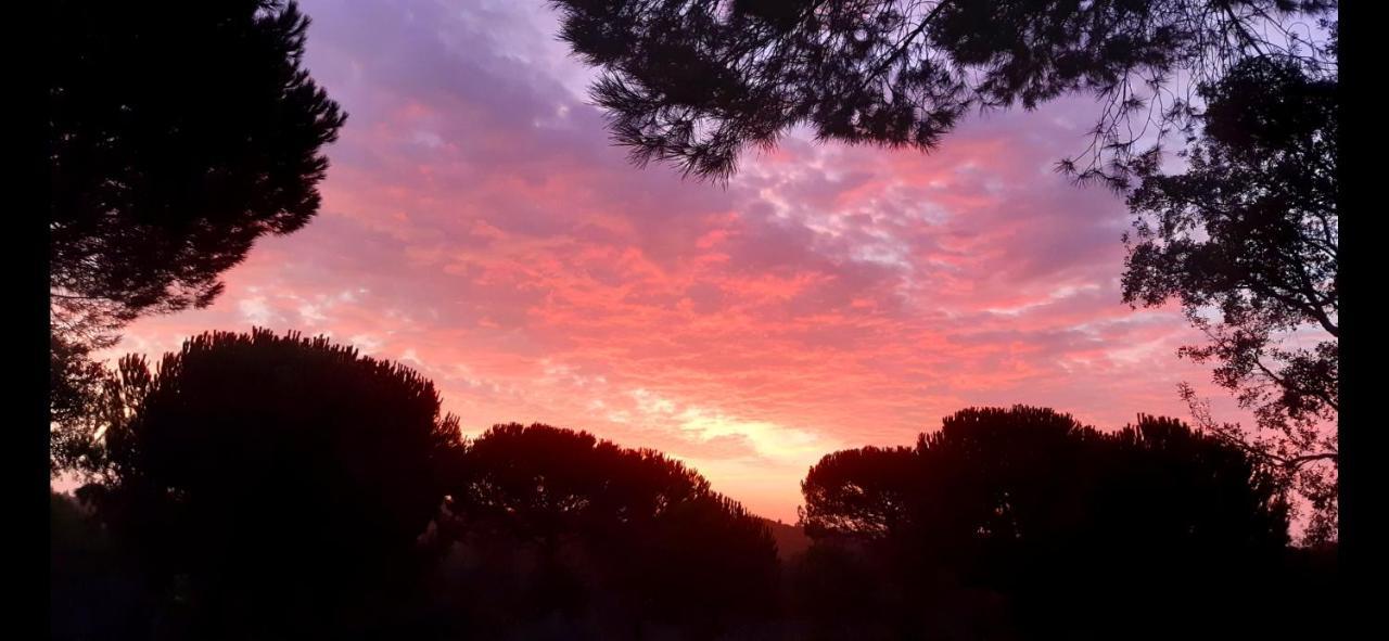 Ying Yang Monte Da Lua Βίλα Comporta Εξωτερικό φωτογραφία