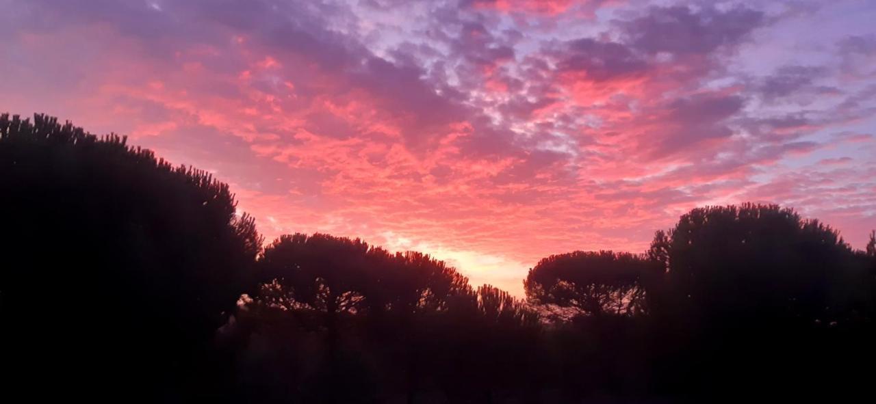 Ying Yang Monte Da Lua Βίλα Comporta Εξωτερικό φωτογραφία