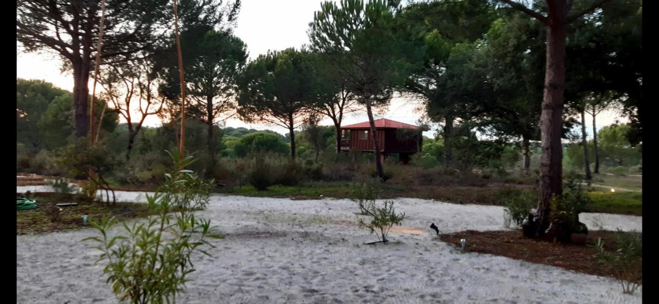 Ying Yang Monte Da Lua Βίλα Comporta Εξωτερικό φωτογραφία