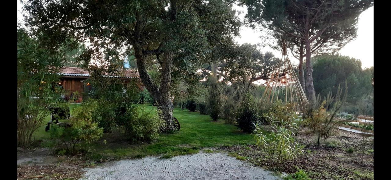 Ying Yang Monte Da Lua Βίλα Comporta Εξωτερικό φωτογραφία