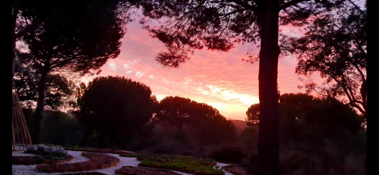 Ying Yang Monte Da Lua Βίλα Comporta Εξωτερικό φωτογραφία