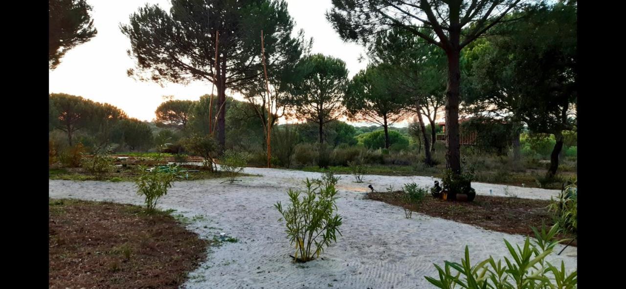 Ying Yang Monte Da Lua Βίλα Comporta Εξωτερικό φωτογραφία