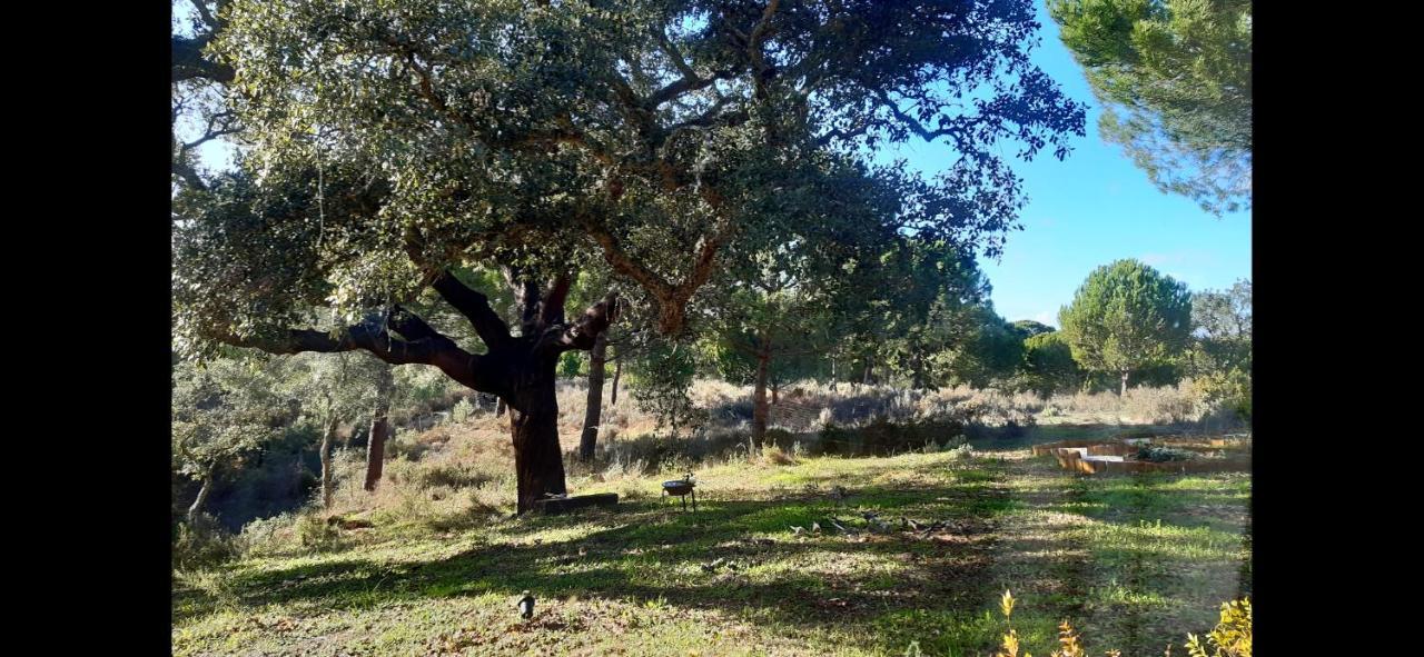 Ying Yang Monte Da Lua Βίλα Comporta Εξωτερικό φωτογραφία