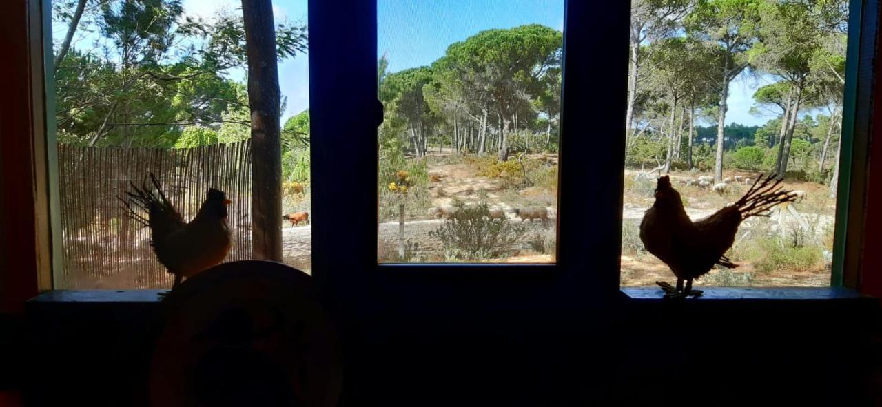 Ying Yang Monte Da Lua Βίλα Comporta Εξωτερικό φωτογραφία